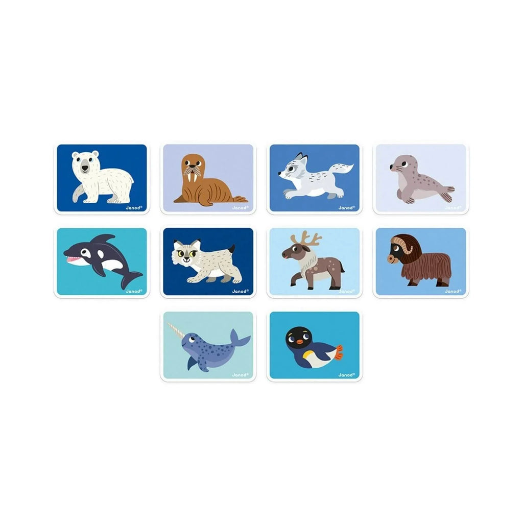 Janod Magnetibook Polar Animals