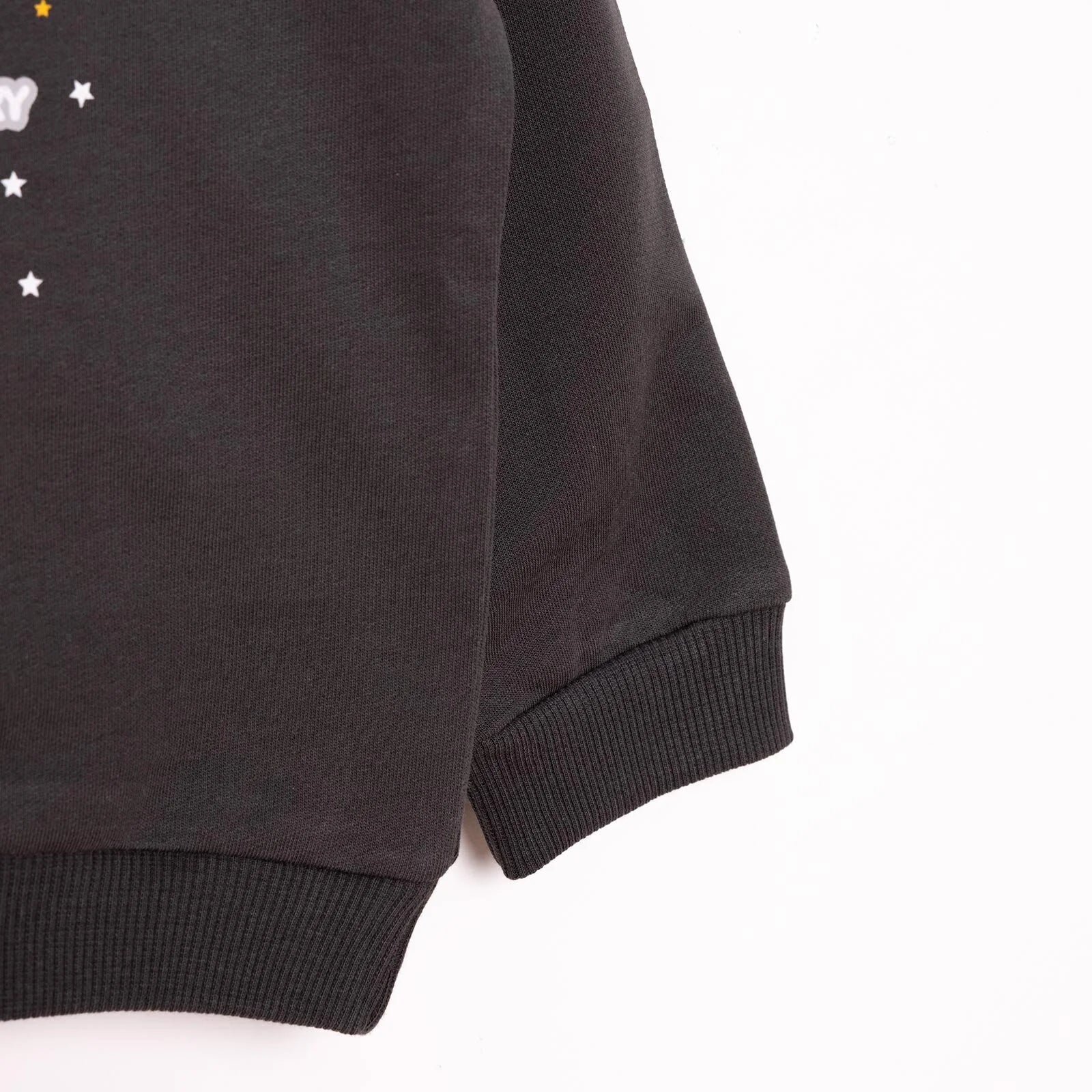 HelloBaby Basic Low Raised Lion Printed Sweatshirt - Dark Grey