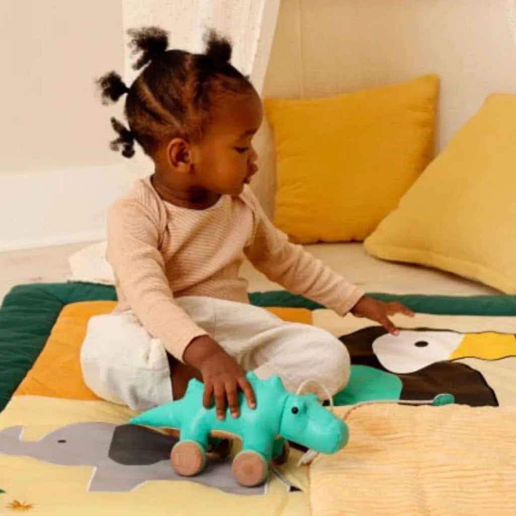 Little Big Friends Pull Along - Achille the Crocodile