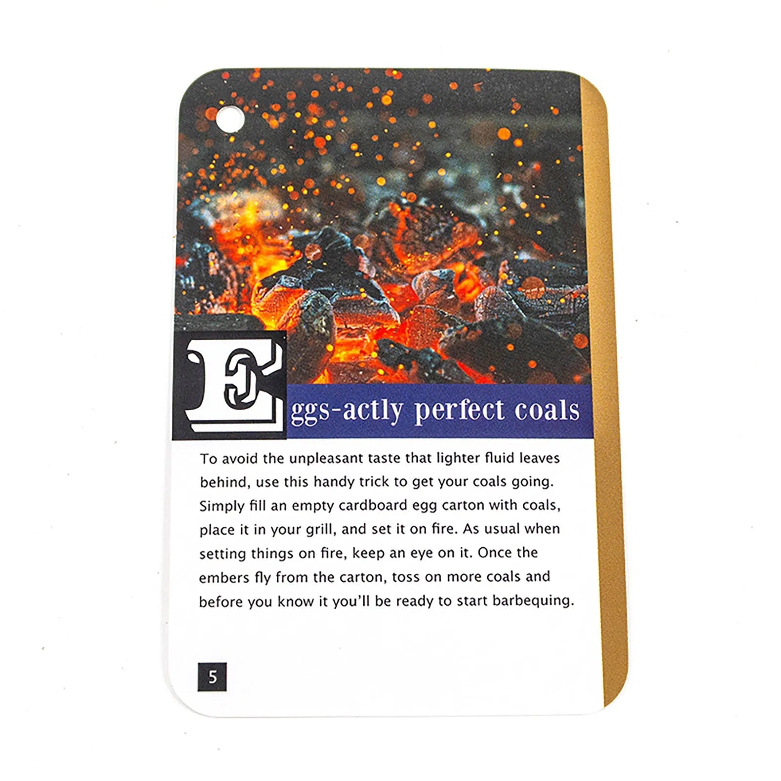 Recent Toys How to become a BBQ Master