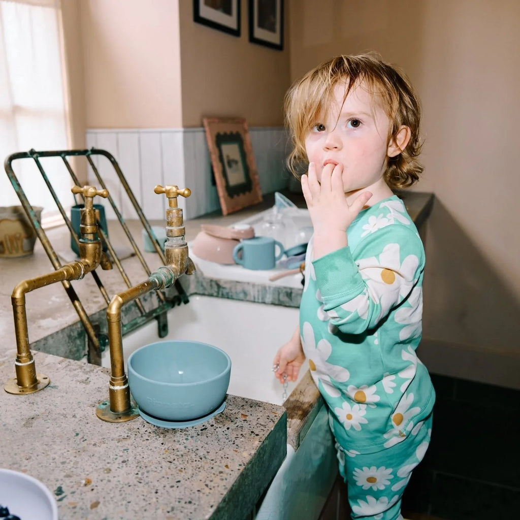 Pippeta Silicone Suction Bowl - Ash Rose