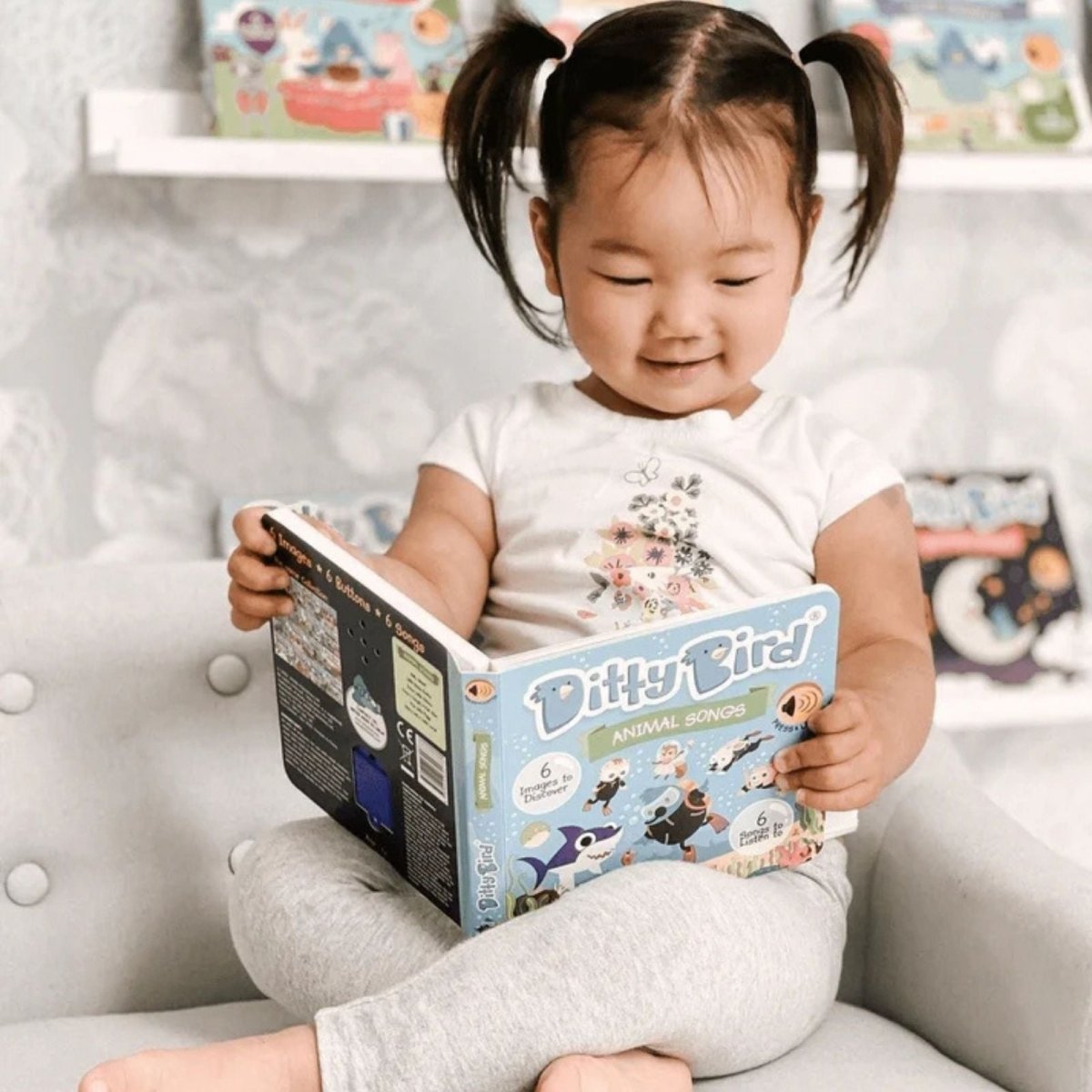 Ditty Bird Animal Songs Book