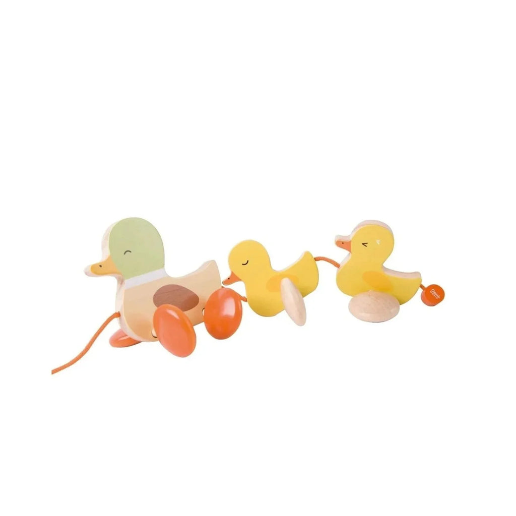 Classic World Paddling Pull Along Duck