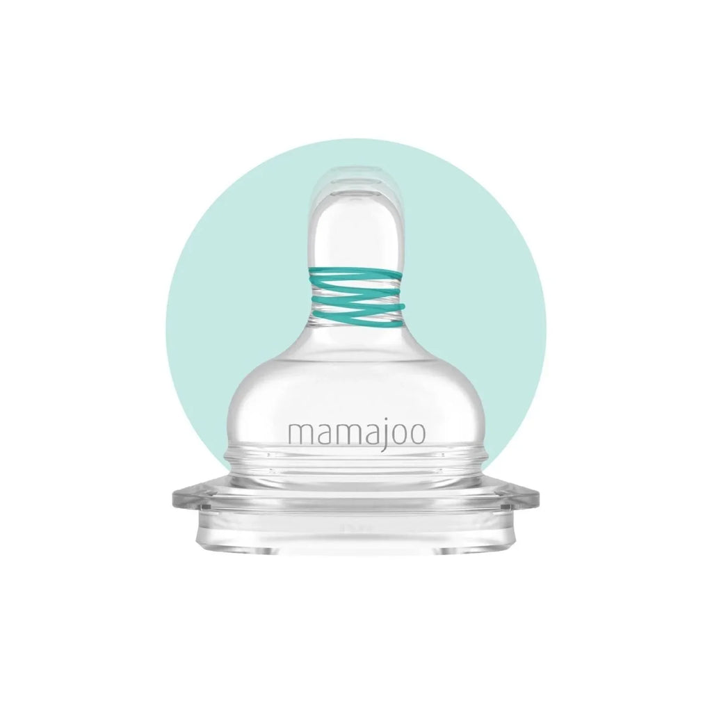 Mamajoo Anti-Colic PP Baby Bottle Slow Flow 0+ months 150ml - Silver